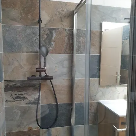 Magnifique T3 Duplex Luna דירה